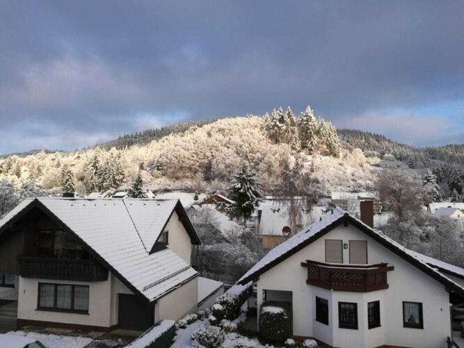Spacious Flat In Adenau Near The N Rburgring Exteriör bild